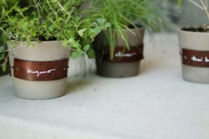 Small herb pots with DIY leather labels for herbs like oregano, basil, and thyme, perfect for organized kitchen herb gardens and easy identification.