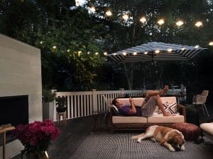 Episode 18 - Living Happily with Pets
