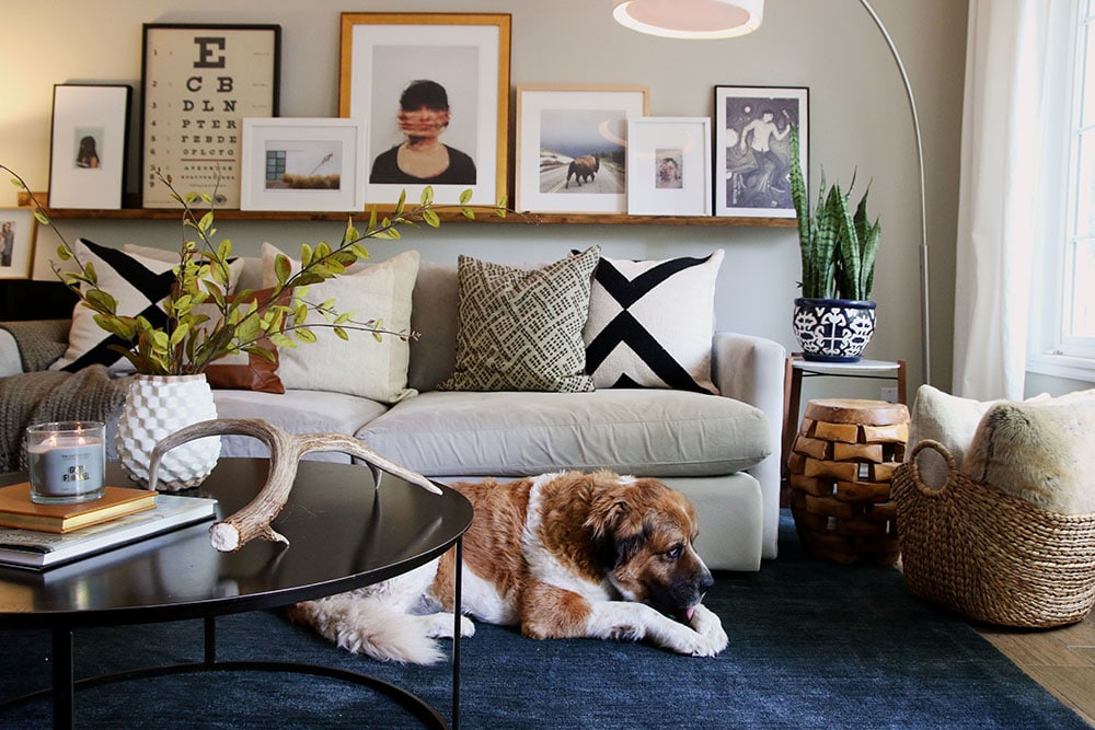 5 BIG, Area Rugs for Cheap (And the one we chose for the Living Room ...