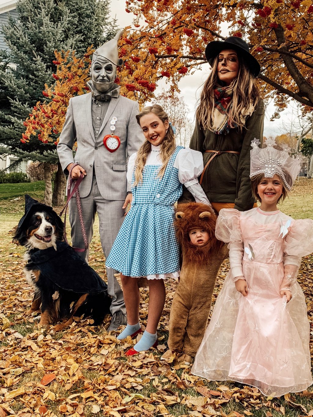 wizard of oz house costume