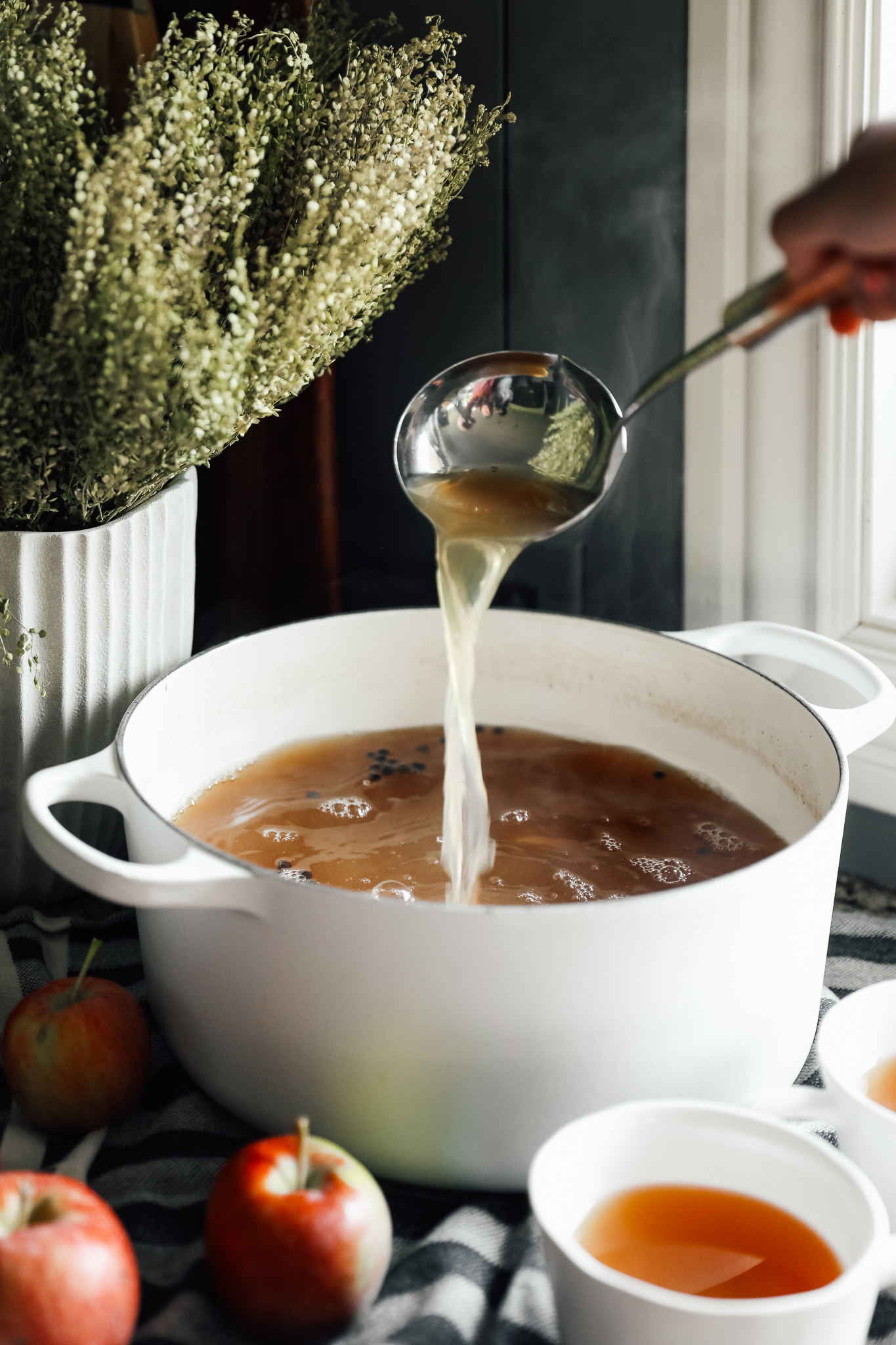 Mulled Apple Cider • Food Folks and Fun