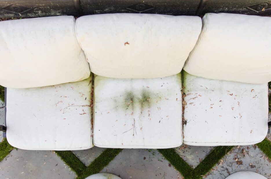 Backyard patio cushions before power washing