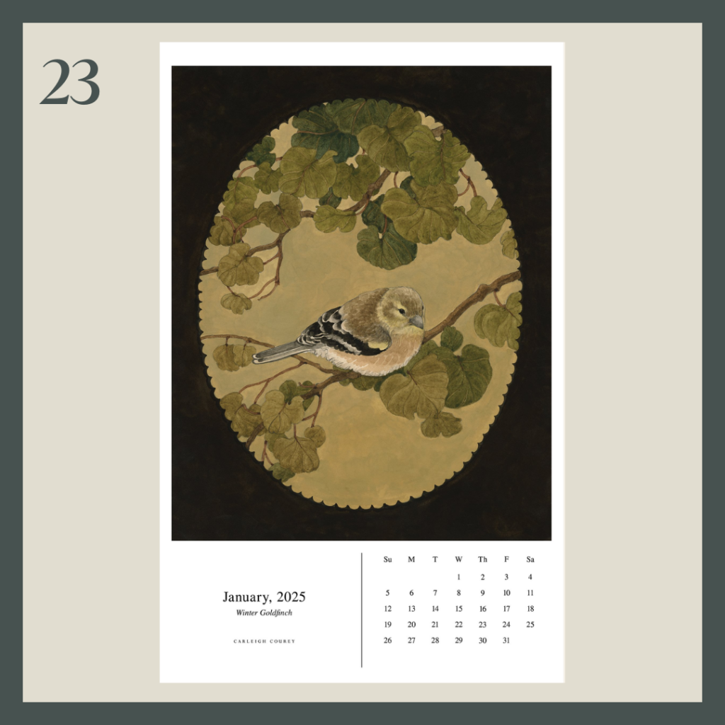 A beautiful calendar with a bird open to January 2025