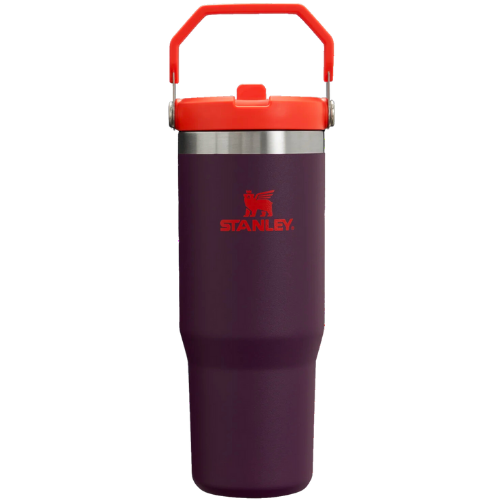 Stanley The IceFlow Flip Straw Tumbler