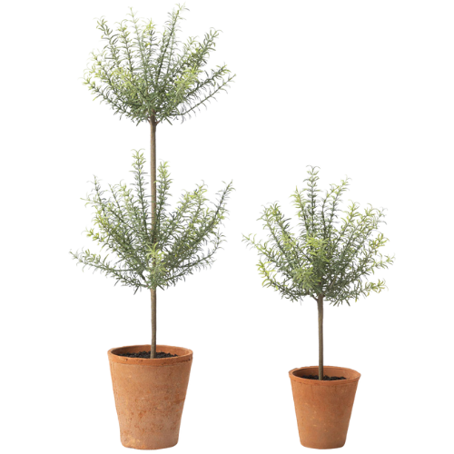 McGee & Co. (US) Potted Faux Rosemary Topiary