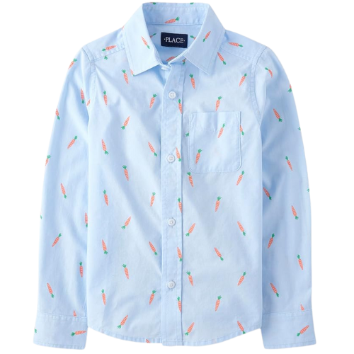 Amazon (US) The Children's Place Boy's Long Sleeve Button Down Shirts