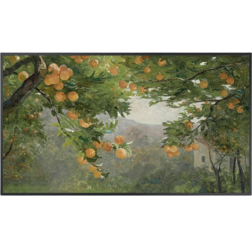 Etsy (US) Frame TV Art Citrus