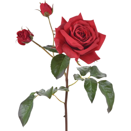 Afloral Red Real Touch English Rose Stem