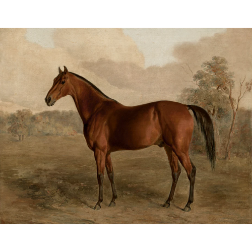 Heirloom Print Shop Thoroughbred horse art print