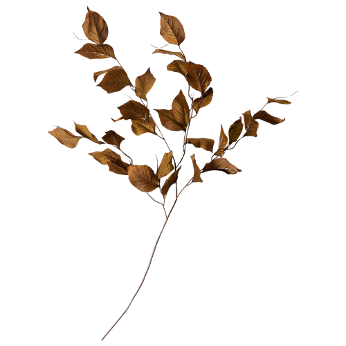 Magnolia Leaf Spray stem branch