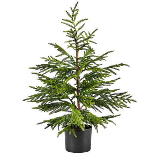 Real Touch Potted Norfolk Pine Tree
