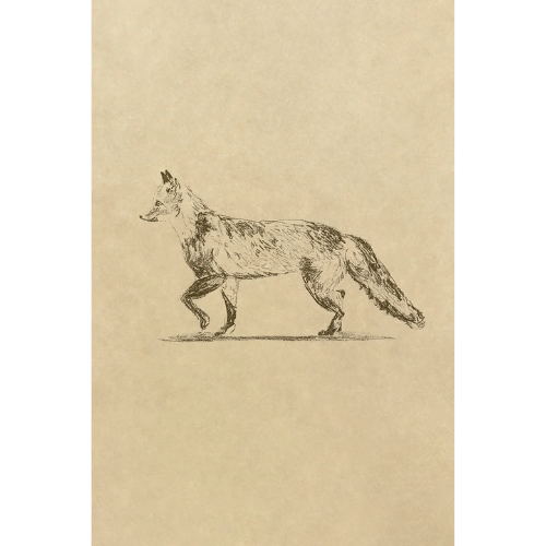 Juniper Print Shop Fox art print