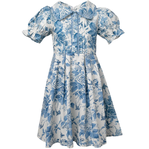 Ivy City Co Mini Sophia Dress blue white toile
