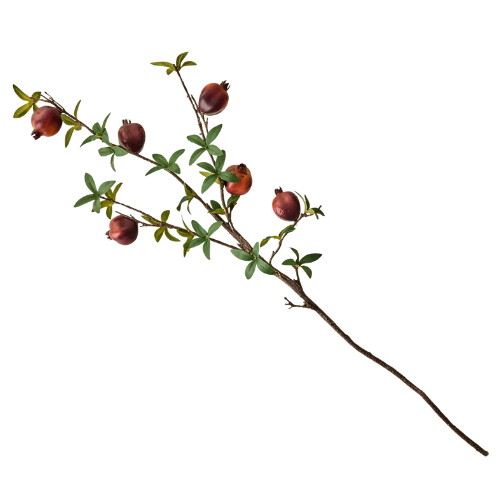 Magnolia Pomegranate Spray stem branch