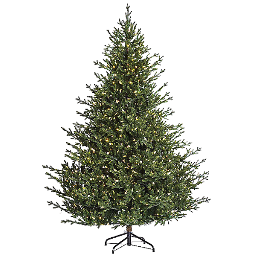 Color Changing Oxford Fir