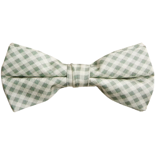 J. Crew US Kids' silk bow tie in gingham green