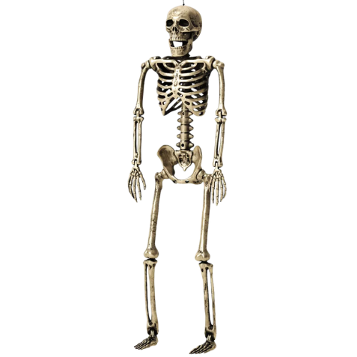 Target 24" Poseable Skeleton