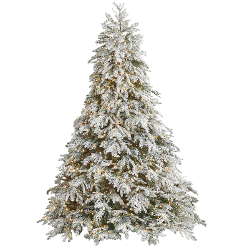 Frosted Canterbury Fir Quick-Light Tree