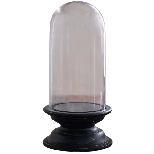 Anthropologie (US) Glass Cloche with Distressed Wood Pedestal Base