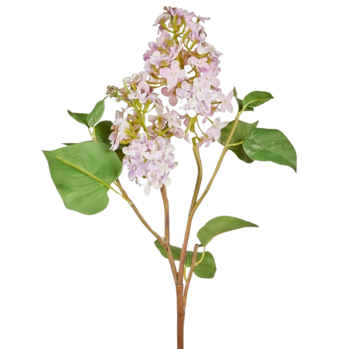 Lilac Branch in Soft Lavender