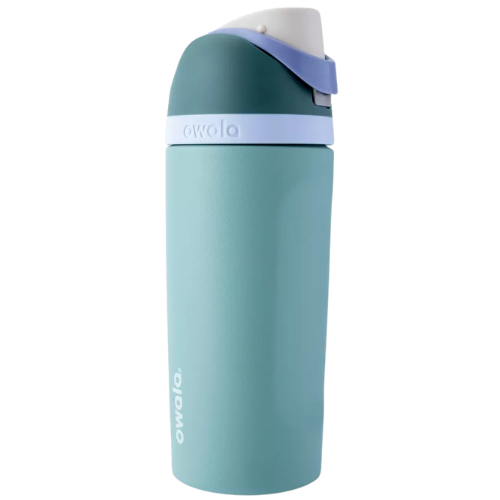 Target Owala 16oz Kids' FreeSip Stainless Steel Water Bottle