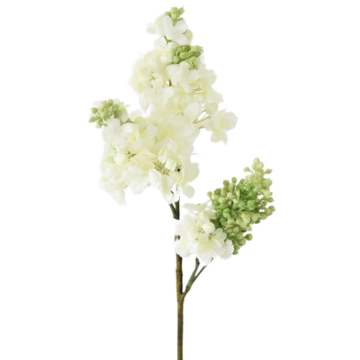 Cream Lilac Spray