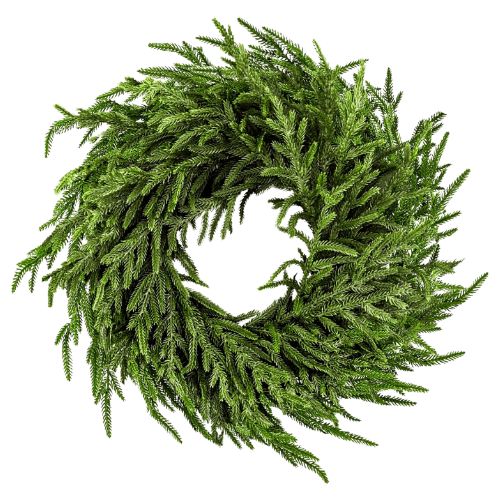 24″ Norfolk Pine Wreath