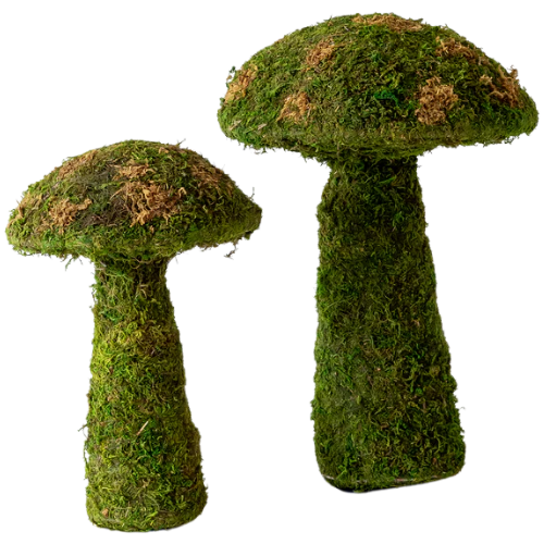 House of Jade Home Moss Mushrooms