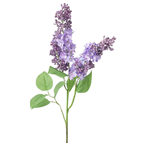 Afloral Purple Lilac Branch