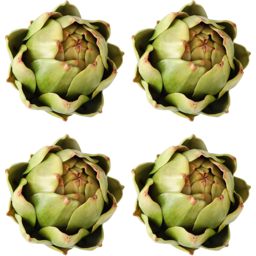 Amazon Faux Artichokes