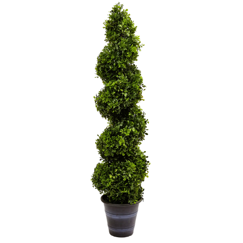 Williams-Sonoma Faux Boxwood Spiral Indoor/Outdoor Topiary