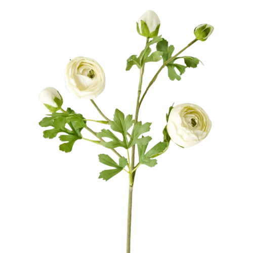 Magnolia Real Touch Ranunculus Stem faux