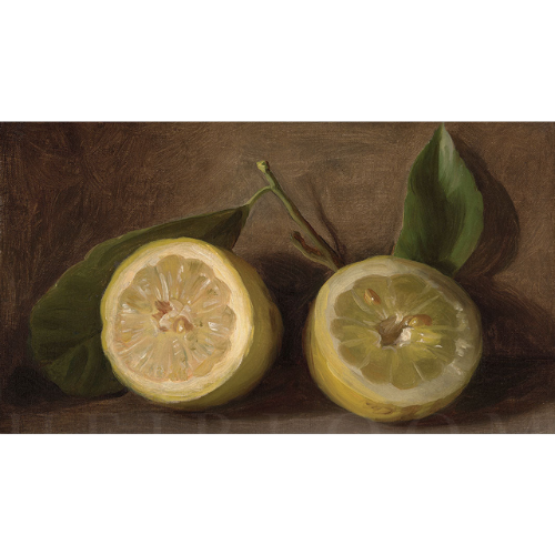 Heirloom Print Shop Lemons Frame TV art