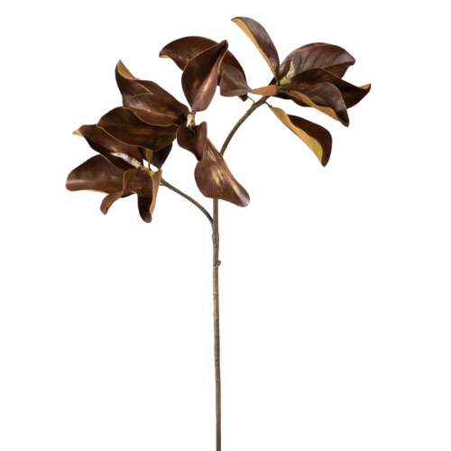 Afloral Autumn Brown Magnolia Leaf Branch stem