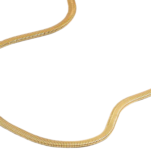 Madewell gold Herringbone Chain Necklace