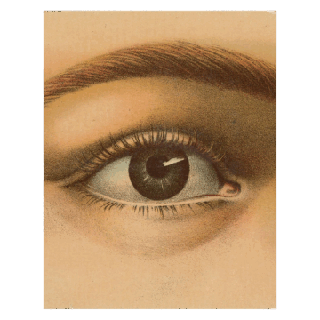 John Derian Book photography