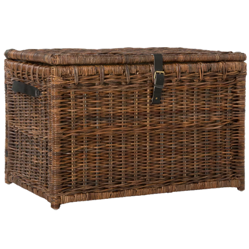 happimess 6.69-cu ft Brown Rattan Storage Trunk
