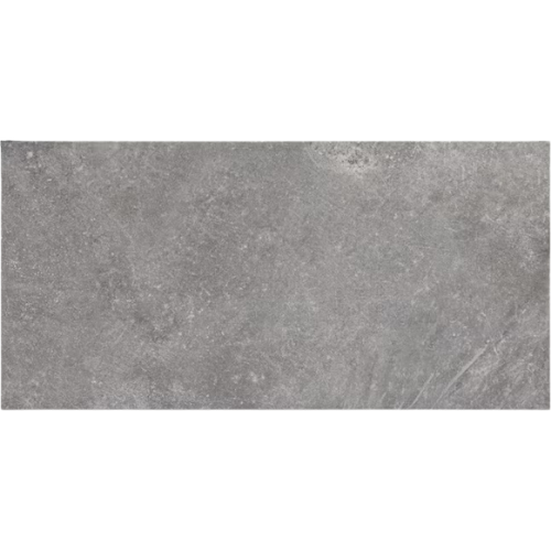 STAINMASTER Harbor Gray 12-in x 24-in Matte Porcelain Floor and Wall Tile