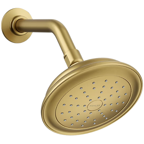 Artifacts Shower Head