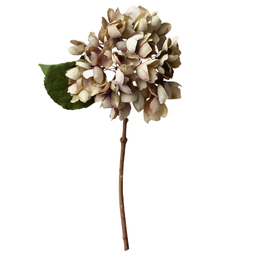 Afloral Hydrangea in Vintage Taupe | Dried Look Faux Flowers
