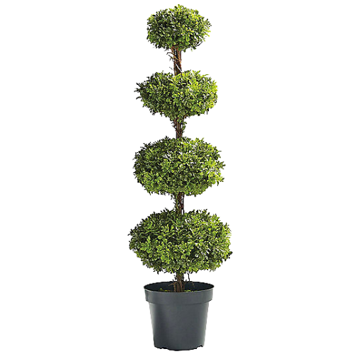 Outdoor Four Tier Boxwood Disc Topiary
