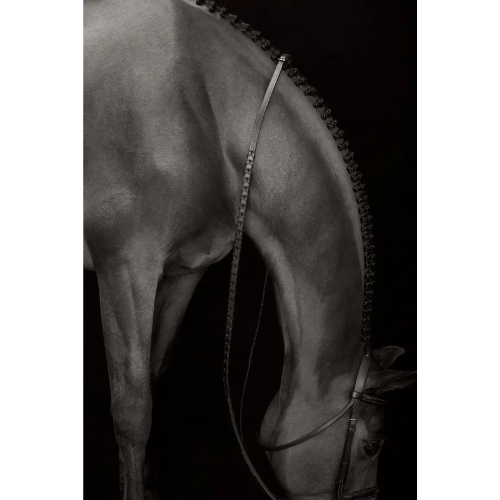 Horse Neck Fine Art Photography