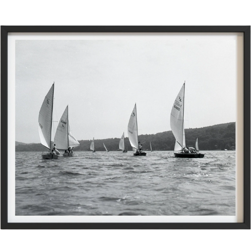 Regatta Art Print