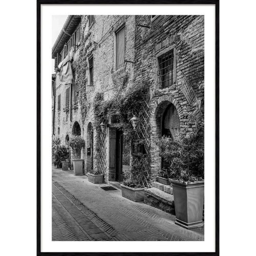 Italian Street Art Print