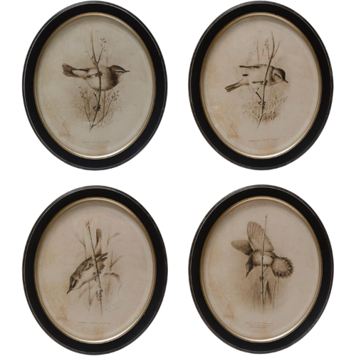 Creative Co-Op Vintage Bird Portrait Wood Framed Wall Decor, Cream and Black, Set of 4