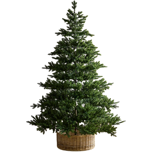 Anthropologie (US) Faux Twinkling Pre-Lit Carolina Fraser Tree, 7.5’