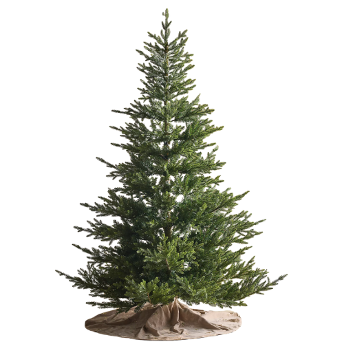 Anthropologie (US) Faux Norway Spruce Tree