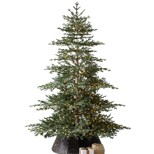Williams-Sonoma Balsam HIll Aspen Silver Fir