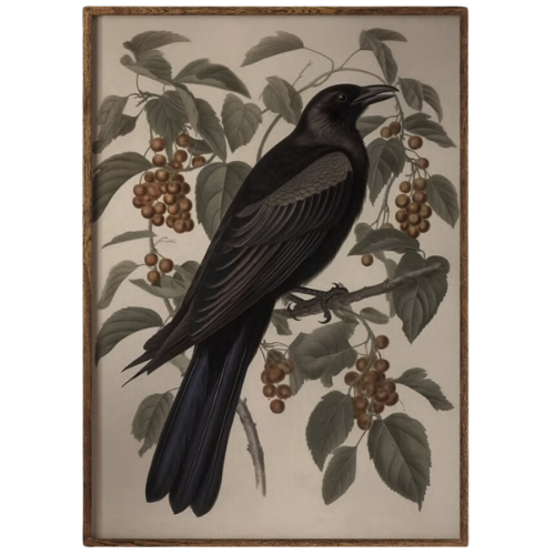 Raven Vintage Crow Print Etsy Art