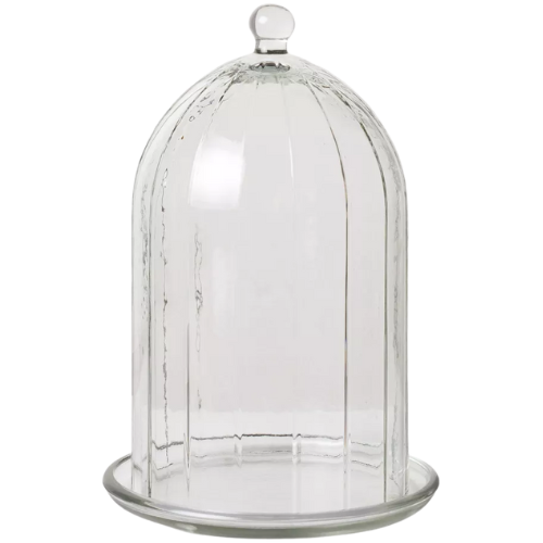 Target Decorative Cloche Clear
